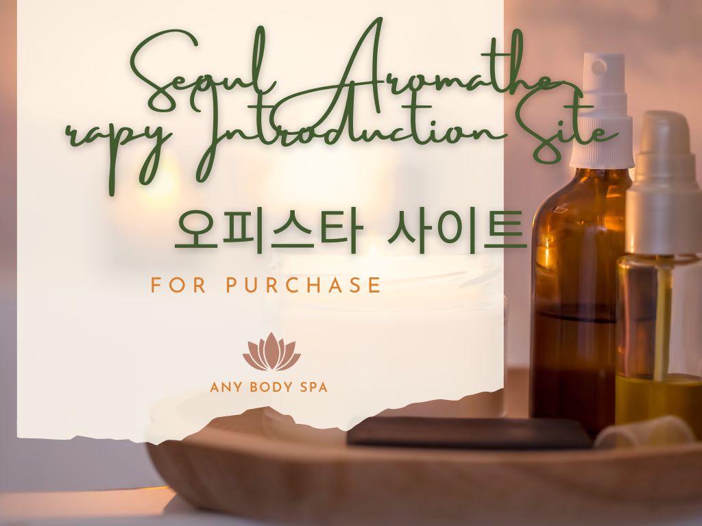 Seoul Aromatherapy Introduction Site 오피스타 사이트